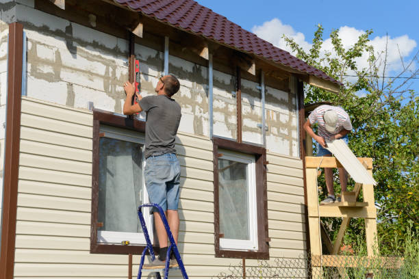 Best Stucco Siding  in Muscatine, IA