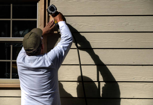 Affordable Siding Repair and Maintenance Services in Muscatine, IA